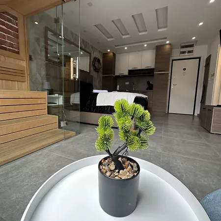 Lux 56 Appartement Zlatibor